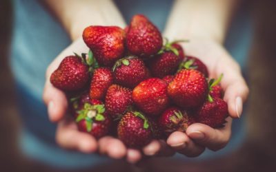 La fraise, star de nos étals