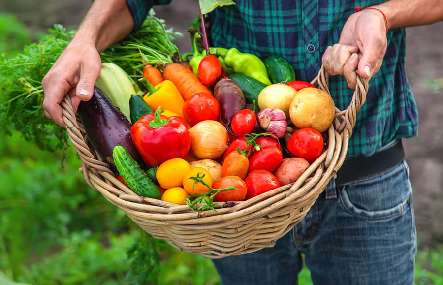 Une bonne alimentation au printemps