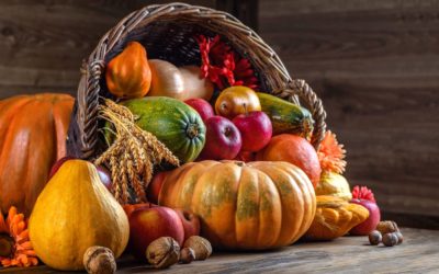 Le Spectacle des Courges