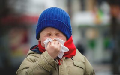 Renforcer Son Immunité à l’Approche de l’Automne